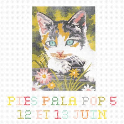 Festival Pies Pala Pop #5, 12 et 13 juin 2026